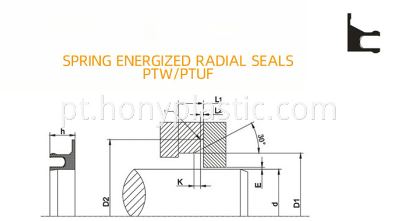 spring seal-12